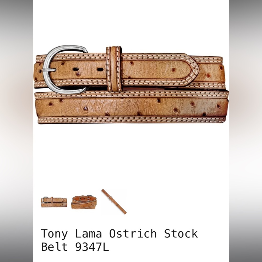 Tony Lama Ostrich Stock Belt size 38